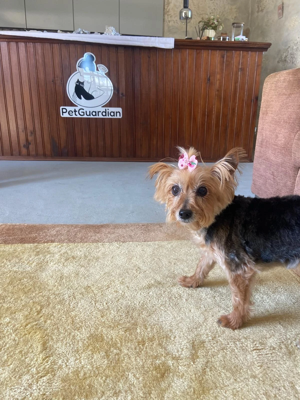 Foto da galeria de PetGuardian - Hotel